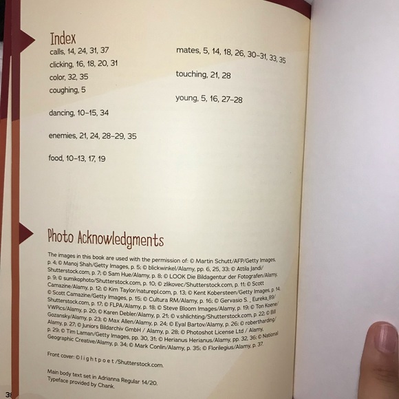 Dancing Bees learning book - Picture 4 of 5